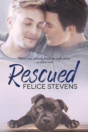 Rescued by Felice Stevens