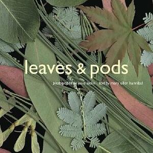 Leaves & Pods by Mary Ellen Hannibal, Josie Iselin
