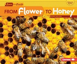 From Flower to Honey by Robin Nelson