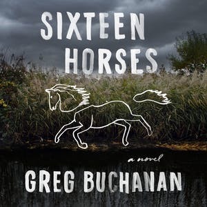 Sixteen Horses by Greg Buchanan