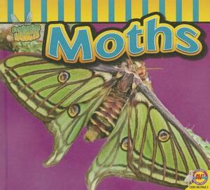 Moths by Aaron Carr