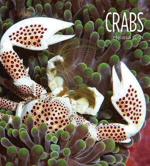 Crabs by Melissa Gish