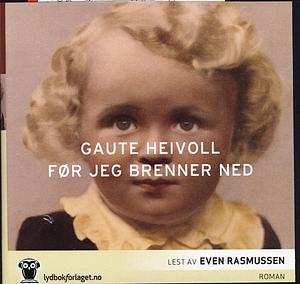 Før jeg brenner ned by Gaute Heivoll