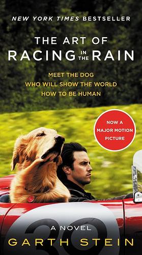 The Art of Racing in the Rain by Garth Stein