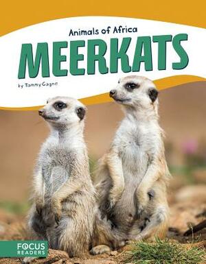 Meerkats by Tammy Gagne