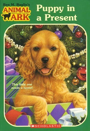 Puppy in a Present by Ann Baum, Ben M. Baglio