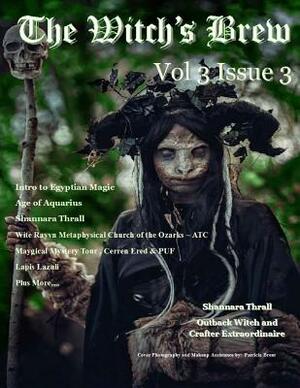 The Witch's Brew, Vol 3 Issue 3 by Melissa Anderson