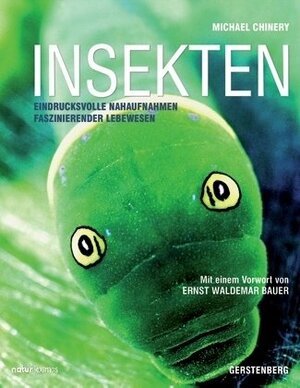 Insekten: Eindrucksvolle Nahaufnahmen Faszinierender Lebewesen by Michael Chinery, Jorunn Wissmann