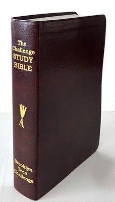 CEV Challenge Study Bible-Flexi Cover by Don Wilkerson