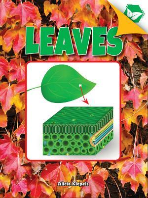 Leaves by Alicia Klepeis