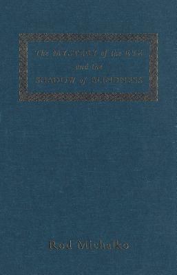 The Mystery of the Eye and the Shadow of Blindness by Rod Michalko