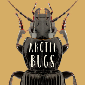 Arctic Bugs (English) by Inhabit Education