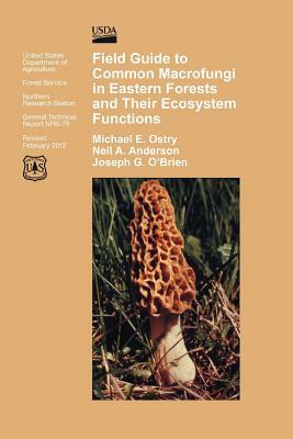 Field Guide to Common Macrofungi in Eastern Forests and Their Ecosystem Function by Forest Service, Michael E. Ostry, U. S. Department of Agriculture