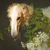 narzibenoucdel's profile picture