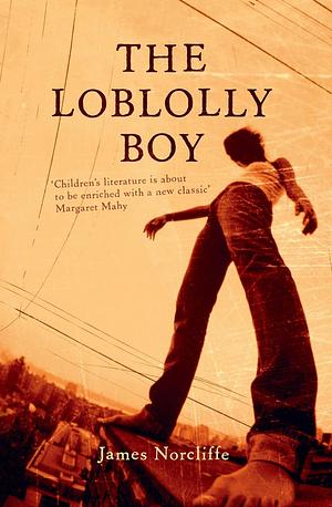 The Loblolly Boy by James Norcliffe