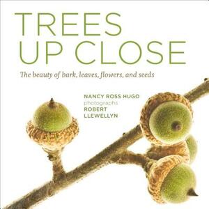 Trees Up Close: The Beauty of Their Bark, Leaves, Flowers, and Seeds by Nancy Ross Hugo