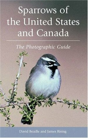 Sparrows of the United States and Canada: The Photographic Guide by David Beadle, James D. Rising