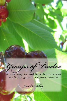 Groups of Twelve: A new way to mobilize leaders and multiply groups in your chur by Joel Comiskey