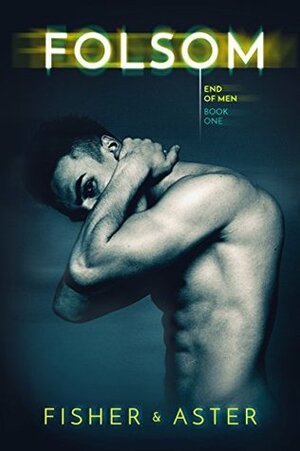 Folsom by Tarryn Fisher, Willow Aster