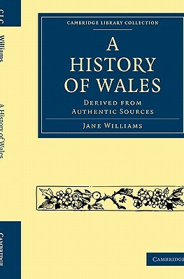 A History of Wales by Jane Williams