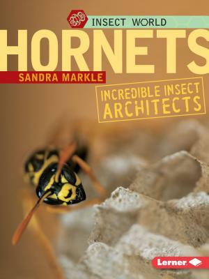 Hornets: Incredible Insect Architects by Sandra Markle