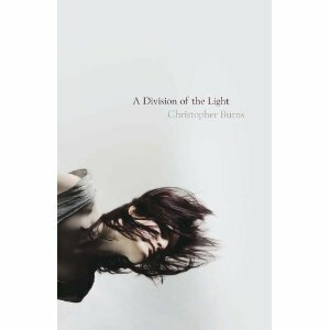 A Division of the Light by Christopher Burns