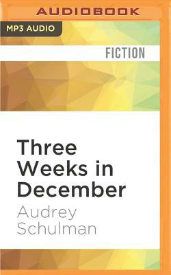 Three Weeks in December by Audrey Schulman