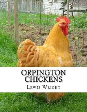 Orpington Chickens: From The Book of Poultry by Lewis Wright