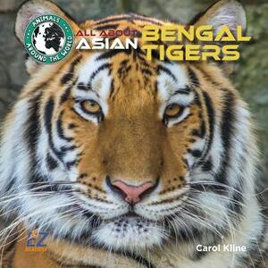 All about Asian Bengal Tigers by Carol Kline