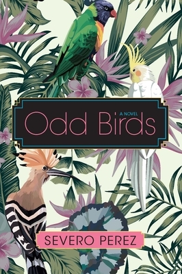 Odd Birds by Severo Perez