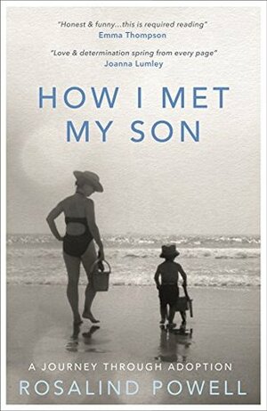How I Met My Son: A Journey Through Adoption by Rosalind Powell