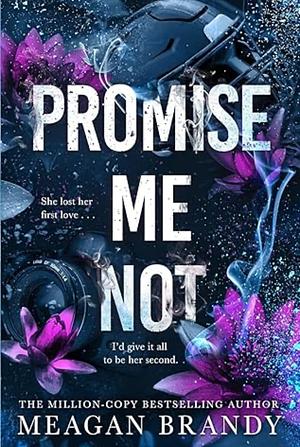 Promise Me Not by Meagan Brandy