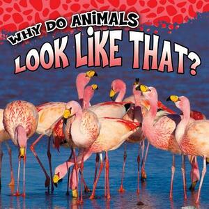 Why Do Animals Look Like That? by Sam George