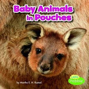 Baby Animals in Pouches by Martha E.H. Rustad