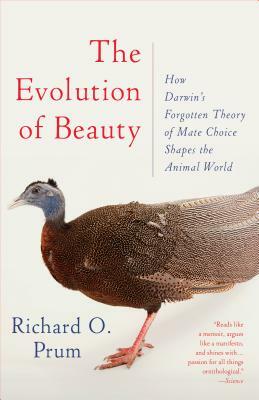 The Evolution of Beauty: How Darwin's Forgotten Theory of Mate Choice Shapes the Animal World - And Us by Richard O. Prum