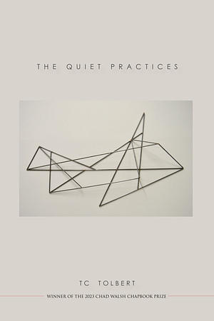 The Quiet Practices by TC Tolbert