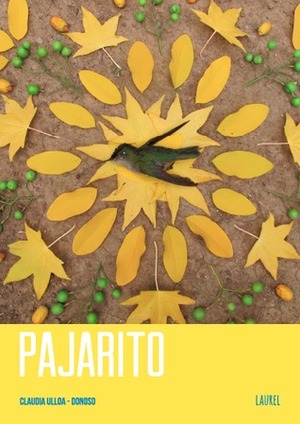 Pajarito by Claudia Ulloa Donoso