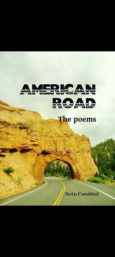 American Roads the poem by Sean Carabini