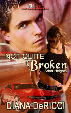 Not Quite Broken by Diana DeRicci