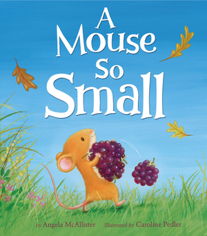 A Mouse So Small by Angela McAllister