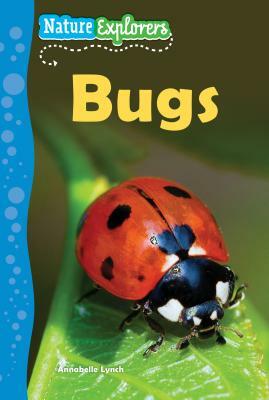 Bugs by Annabelle Lynch