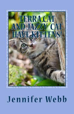 Terra Cat and Jazzy Cat Have Kittens: Home Of Dreams by Jennifer Webb