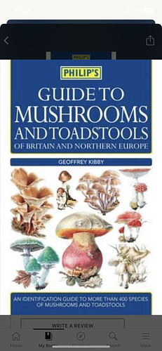 Mushrooms And Toadstools by Geoffrey Kibby