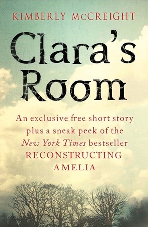 Clara's Room, A Flash Fiction Short by Kimberly McCreight