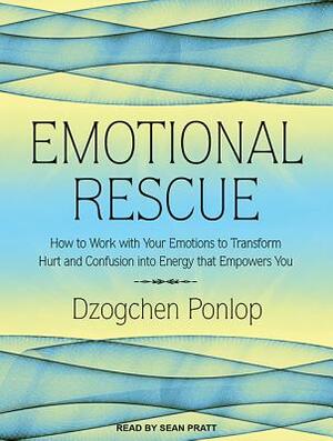 Emotional Rescue: How to Work with Your Emotions to Transform Hurt and Confusion Into Energy That Empowers You by Dzoghen Ponlop