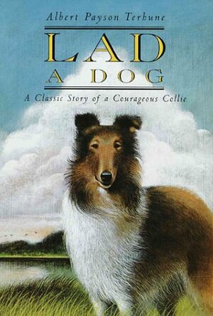 Lad: A Dog by Albert Payson Terhune