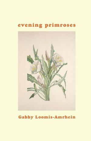 evening primroses by Gabby Loomis-Amrhein, Recenter Press