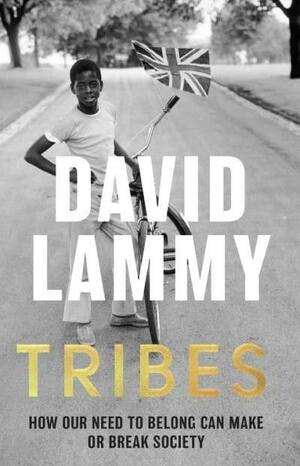 Tribes: A Search for Belonging in a Divided Society by David Lammy