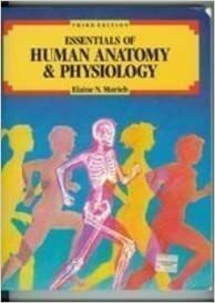 Essentials Of Human Anatomy & Physiology by Elaine N. Marieb