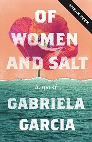 Of Women and Salt Sneak Peek by Gabriela Garcia